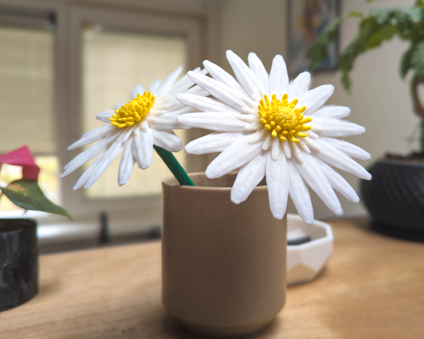 Daisies Modular Flowers
